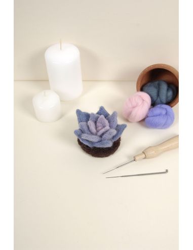 DMC Felting Catalog - Cactus and Succulents