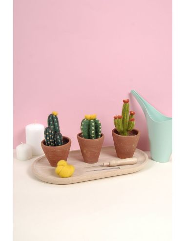 DMC Felting Catalog - Cactus and Succulents