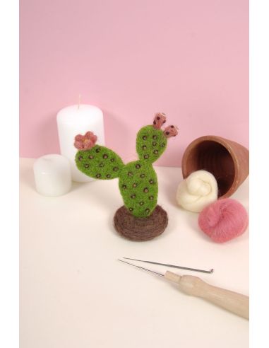 DMC Felting Catalog - Cactus and Succulents