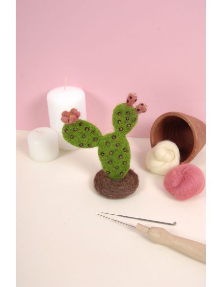 DMC Felting Catalog - Cactus and Succulents
