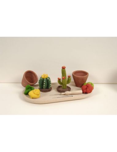 DMC Felting Catalog - Cactus and Succulents