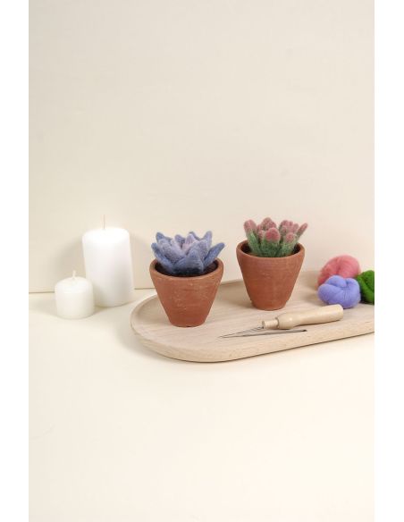DMC Felting Catalog - Cactus and Succulents