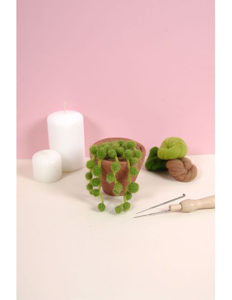DMC Felting Catalog - Cactus and Succulents