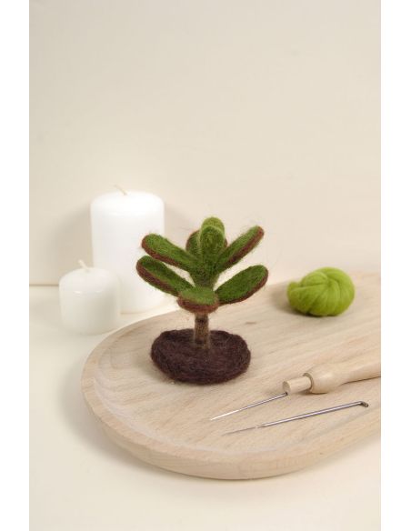 DMC Felting Catalog - Cactus and Succulents