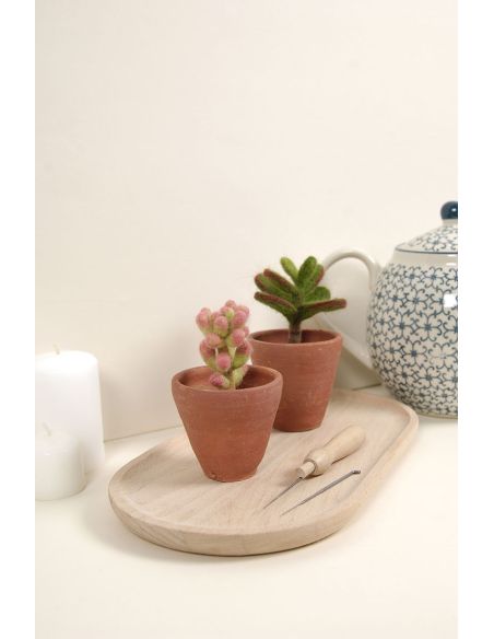DMC Felting Catalog - Cactus and Succulents