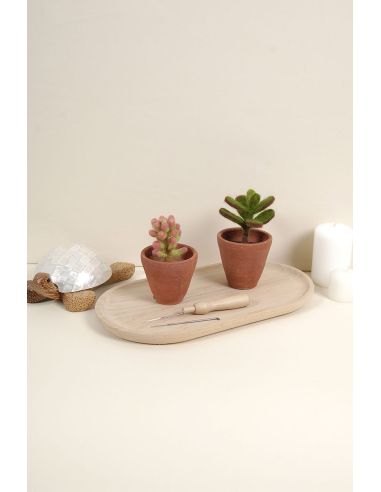 DMC Felting Catalog - Cactus and Succulents