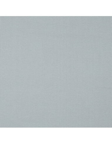Fine ribbed cotton jersey fabric - Silver gray