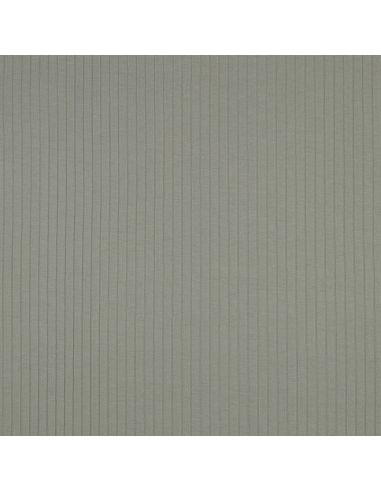 Light ribbed cotton jersey fabric - Light green