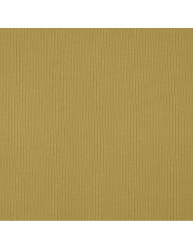 Fine ribbed cotton jersey fabric - Ochre