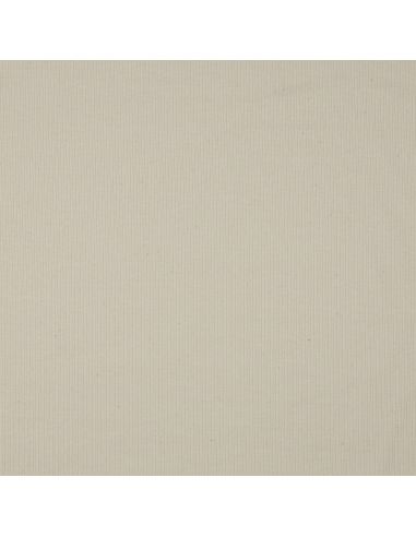 Fine ribbed cotton jersey fabric - Natural