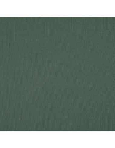 Fine ribbed cotton jersey fabric - Green