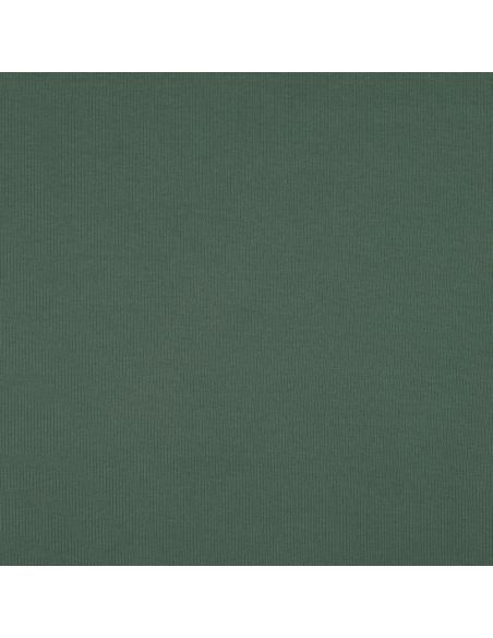 Fine ribbed cotton jersey fabric - Green