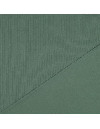 Fine ribbed cotton jersey fabric - Green