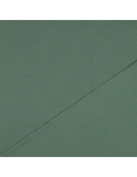 Fine ribbed cotton jersey fabric - Green