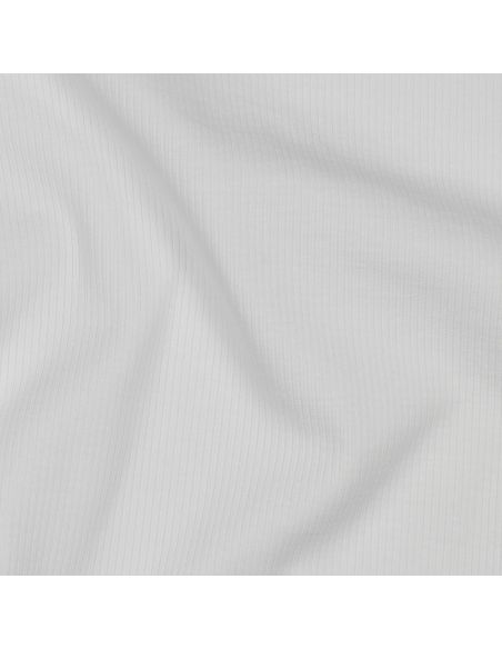 Fine ribbed cotton jersey fabric - Ecru