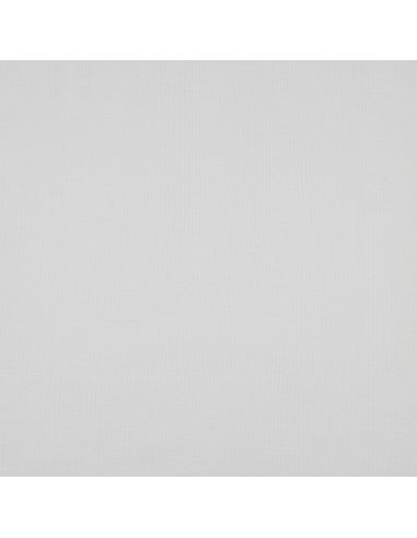 Fine ribbed cotton jersey fabric - Ecru
