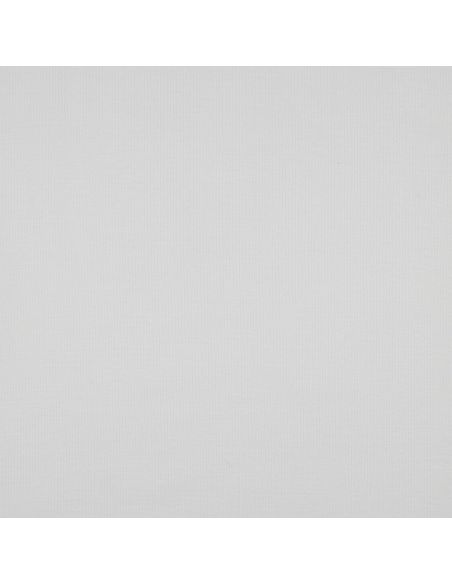 Fine ribbed cotton jersey fabric - Ecru