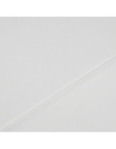 Fine ribbed cotton jersey fabric - Ecru