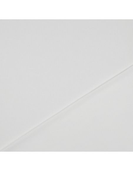 Fine ribbed cotton jersey fabric - Ecru