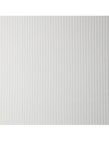 Light ribbed cotton jersey fabric - Ecru
