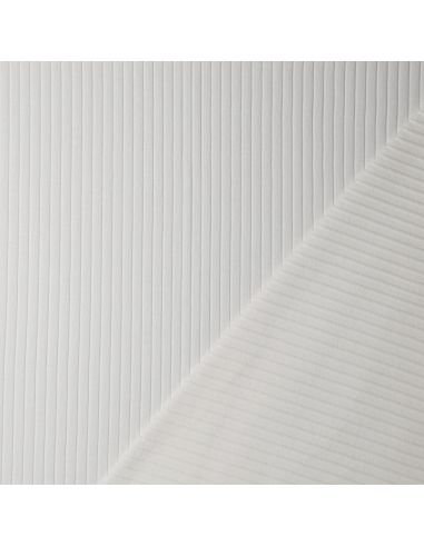 Light ribbed cotton jersey fabric - Ecru