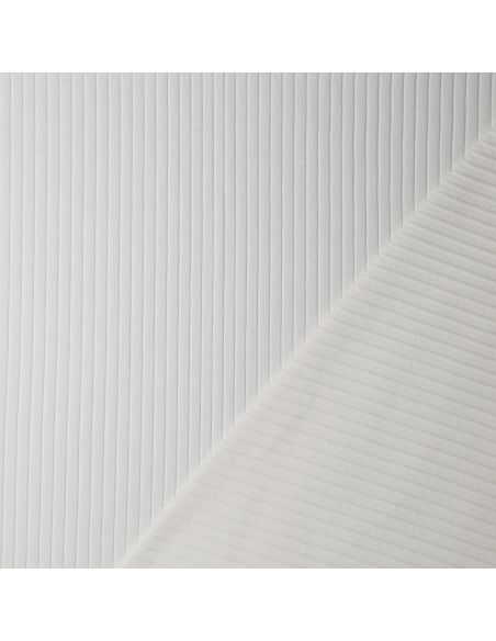 Light ribbed cotton jersey fabric - Ecru