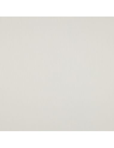 Cotton satin fabric - Ecru