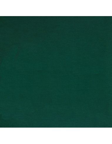 Tencel modal jersey fabric - Green