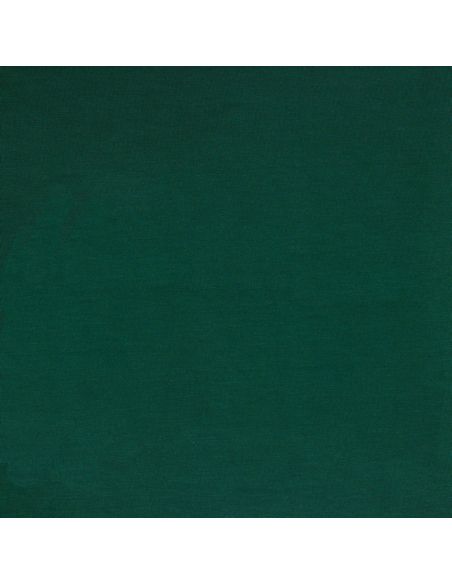 Tencel modal jersey fabric - Green