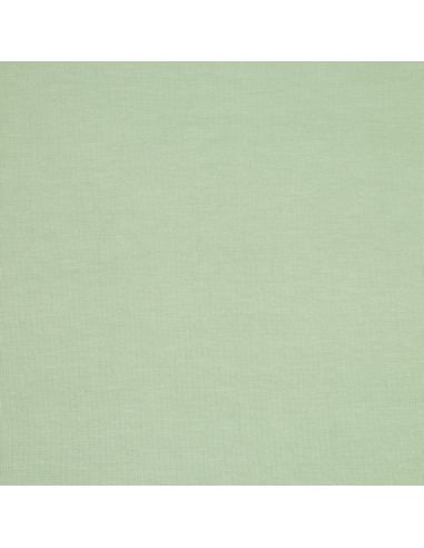 Tencel modal jersey fabric - Mint green