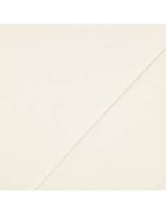 Ribbed jersey ribbed fabric - Ecru 2