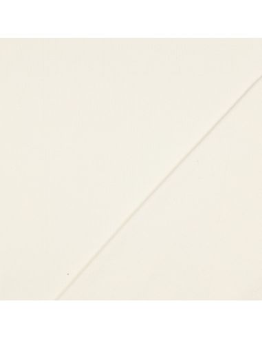 Ribbed jersey ribbed fabric - Ecru