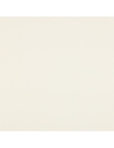 Ribbed jersey ribbed fabric - Ecru