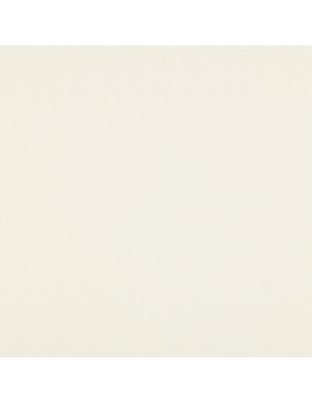 Ribbed jersey ribbed fabric - Ecru