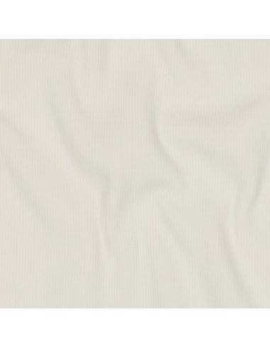 Ribbed jersey ribbed fabric - Ecru