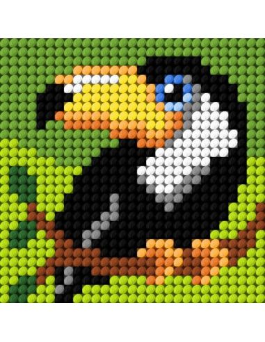 Children's canvas kit - The toucan