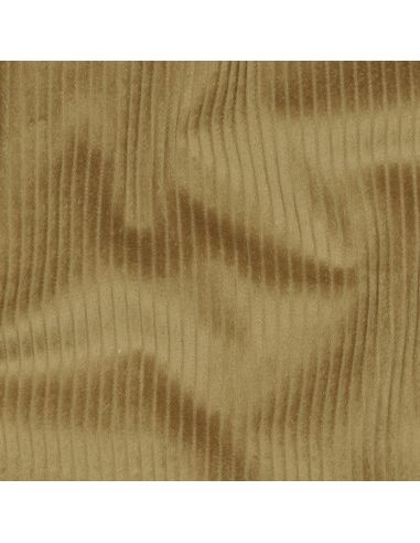 Cotton corduroy fabric - Old gold