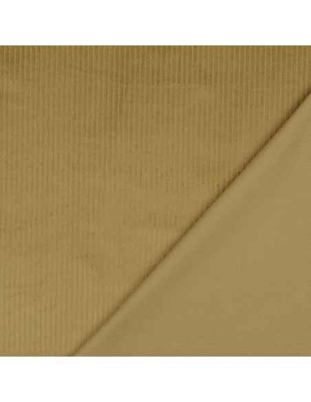 Cotton corduroy fabric - Old gold