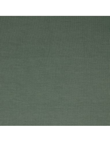 Tencel modal jersey fabric - Fern green