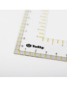 Transparent gauge with Tulip sample 2