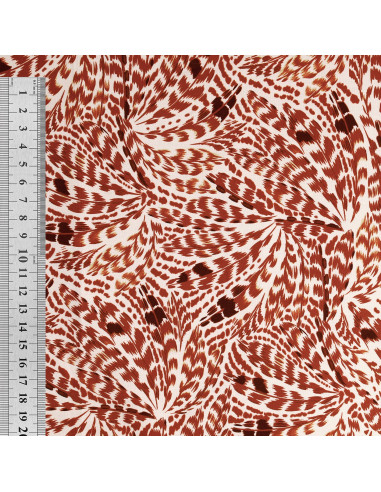 Fancy cotton poplin fabric - Brown feathers