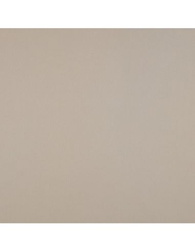 Micro satin fabric with a silk touch - Sand