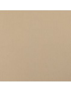 Scuba fabric with peach skin effect - Beige 2