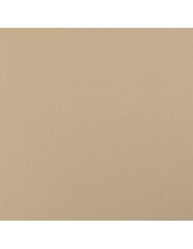 Scuba fabric with peach skin effect - Beige