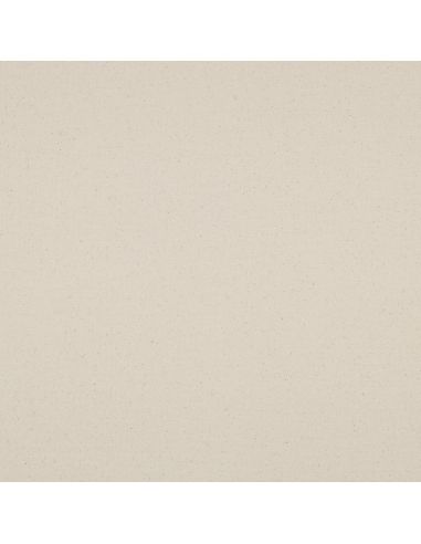 Cotton canvas fabric - Natural