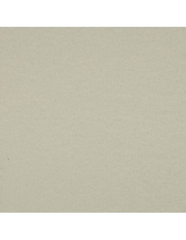 Double-sided Teddy fleece fabric - Ecru