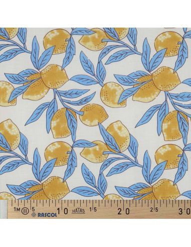 Indian cotton fabric block print Lemons - Blue leaves