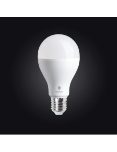Daylight LED bulb - 19 watts screw-in