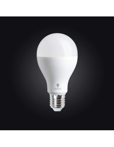 Daylight LED bulb - 19 watts screw-in