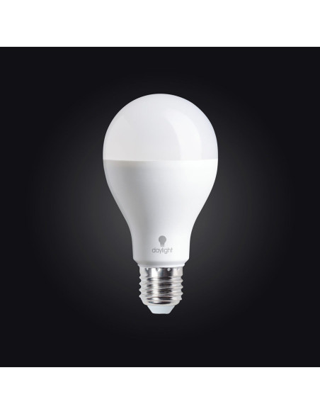 Daylight LED bulb - 19 watts screw-in